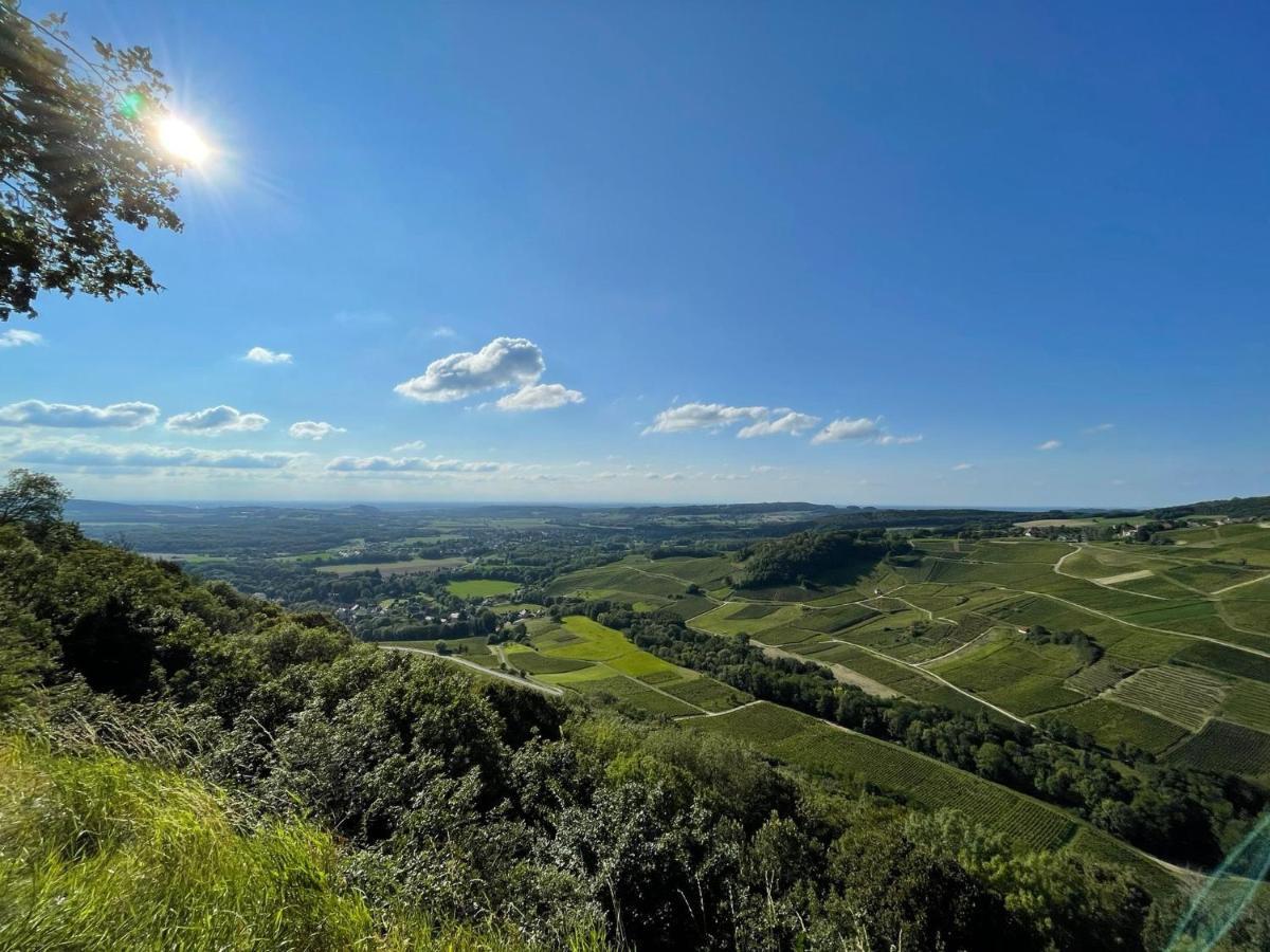 Location La Ferte, Calme Et Proximite Centre Ville Classe 3 Etoiles Lons-le-Saunier Eksteriør billede