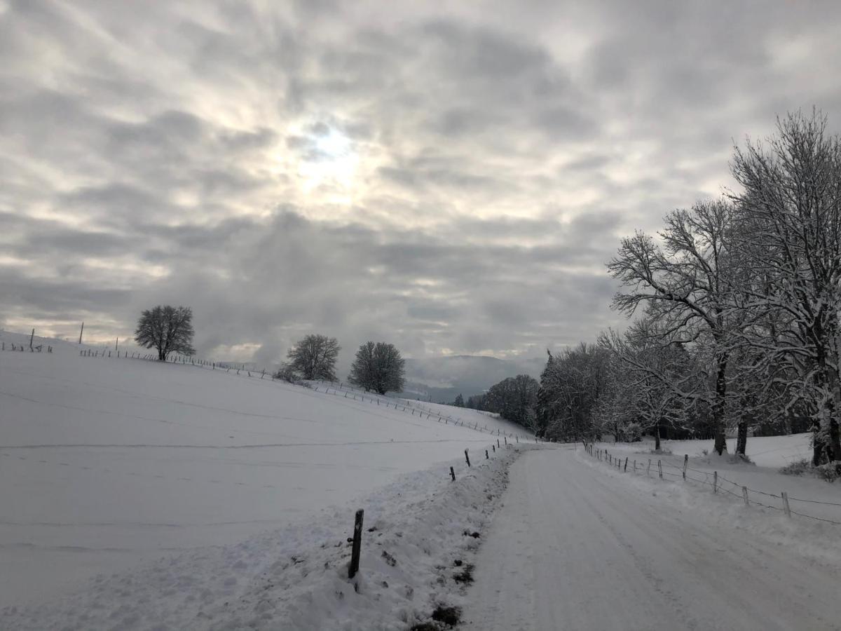 Location La Ferte, Calme Et Proximite Centre Ville Classe 3 Etoiles Lons-le-Saunier Eksteriør billede